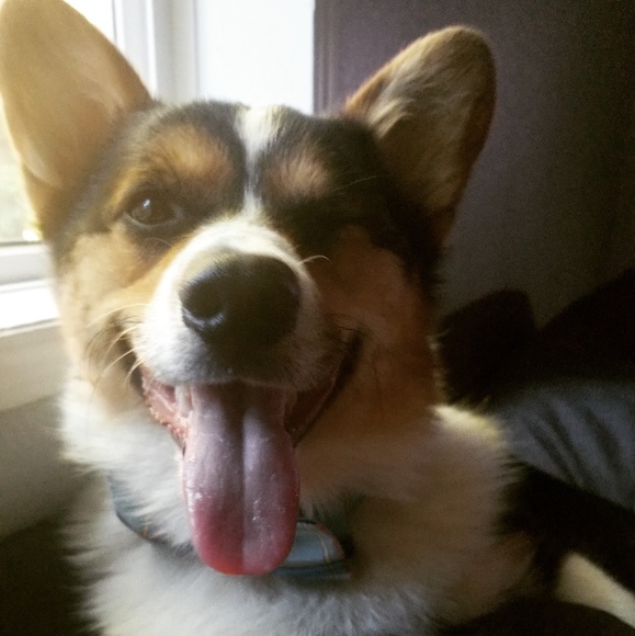 Meet your Posher, Rebecca - Picture 2 of 2